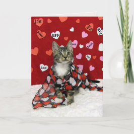 Valentinstag von Bandit - Katze / Valentinstag von Feiertagskarte