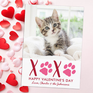 Valentinstag XOXO Niedlich Kitten Pet Cat Foto Feiertagskarte