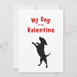 Valentinstag XOXO Niedliche Haustiere Welpen Foto Feiertagskarte