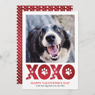 Valentinstag XOXO Pet Dog Foto Feiertagskarte