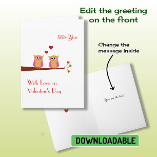 Valentinstag zwei niedliche, rosa Eule Urlaubskart Feiertagskarte