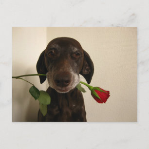 Valentinszeiger Feiertagspostkarte