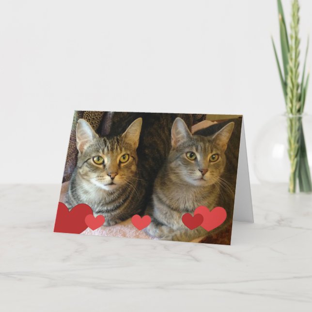 Valentintagskatzen Feiertagskarte (Vorderseite)