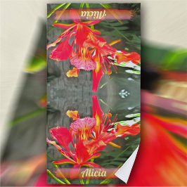 Vallarta Flaming Beauty 1583 Strandtuch