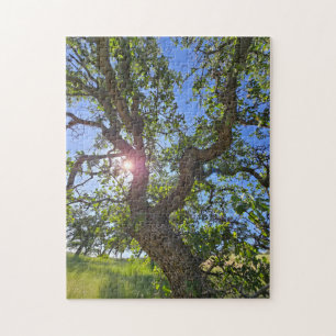 Valley Blue Oak Tree Puzzle