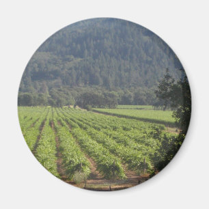 Valley Vineyards I Magnet
