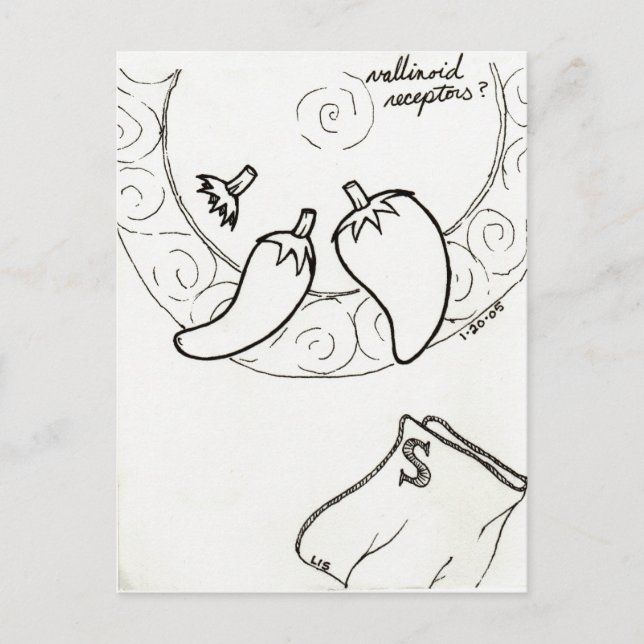 Vallinoid-Rezeptoren nach Karte (Vorderseite)