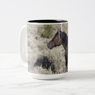 Valor of the South Steens mit Blick auf seine Band Zweifarbige Tasse