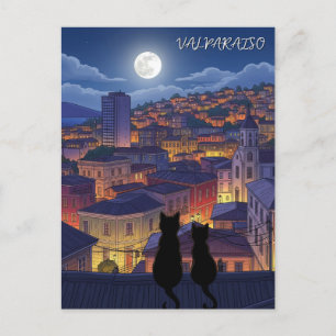 Valparaiso Chile Katzen in der Nacht Postkarte