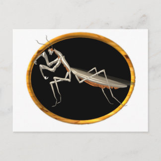 Valxart Gottesanbeterin Natursymbol Postkarte