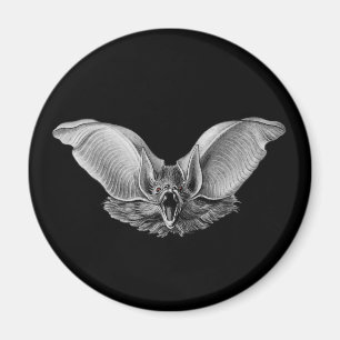 Vampir? Schläger? Magnet