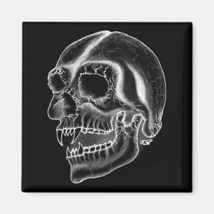 Vampir skull Schwarzweiß-Design Magnet