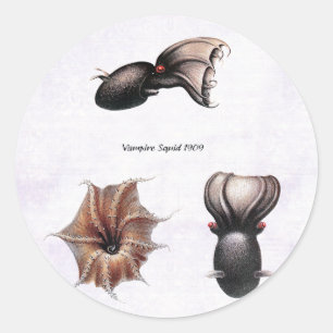 Vampir-Tintenfisch-Aufkleber Runder Aufkleber