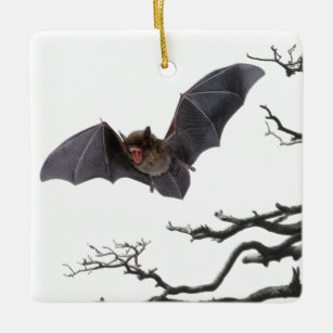 Vampire Bat, Gothic, Dracula, Bat, Keramikornament