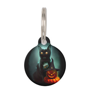 Vampire Cat and Wizard Pumpkin Halloween Surreal Haustiermarke