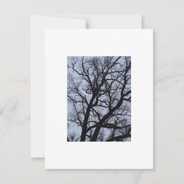 Vampire Tree (Vorderseite)