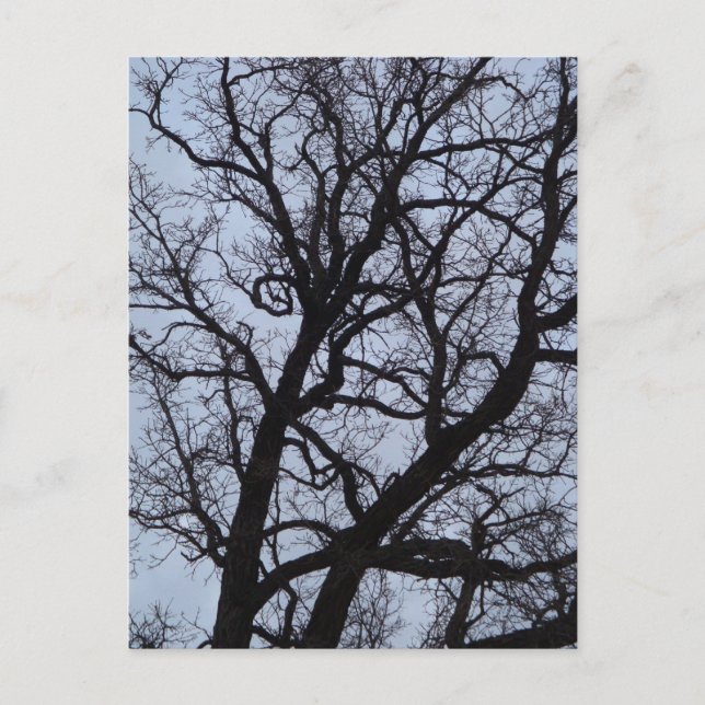 Vampire Tree Postkarte (Vorderseite)