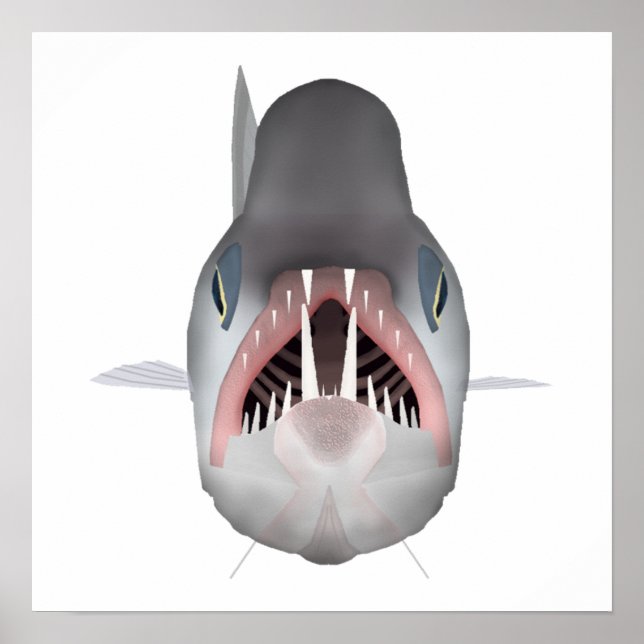 Vampirfisch - Fischkopf Poster (Vorne)