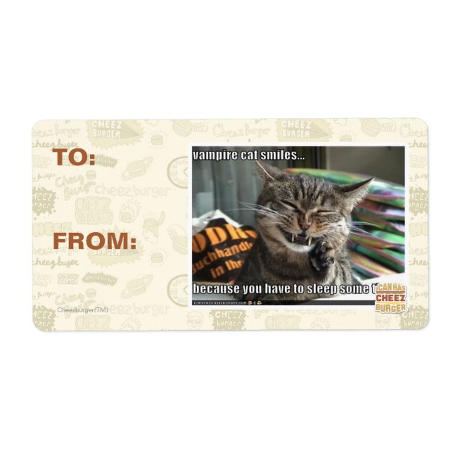 Vampirkatze lächelt (Vorne)