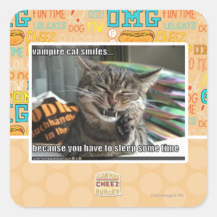 Vampirkatze lächelt quadratischer aufkleber