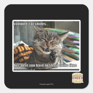 Vampirkatze lächelt quadratischer aufkleber