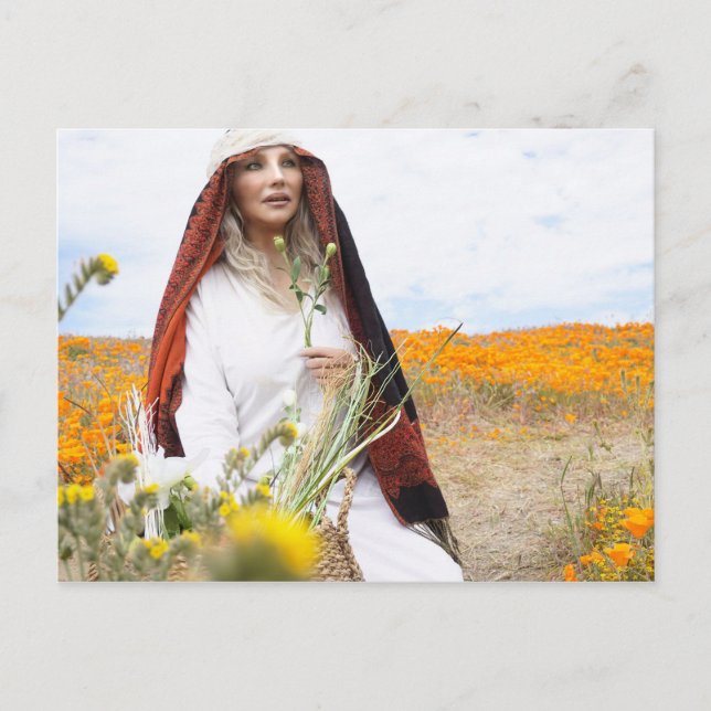 Vamplified Poppy Gardens Postcard Postkarte (Vorderseite)