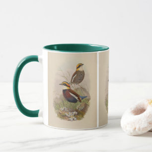Van-der-Boschs Pitta von John Gould Tasse
