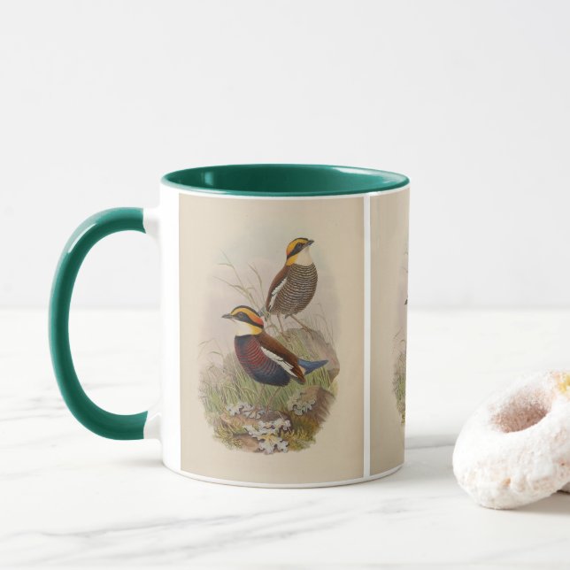 Van-der-Boschs Pitta von John Gould Tasse (Mit Donut)
