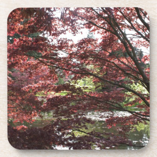 Van Dusen Garten, Japanischer Ahorn Untersetzer