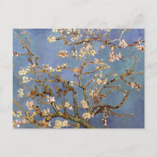 Van Gogh Almond Blossom Feiertagspostkarte