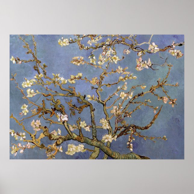 Van Gogh Almond Blossom Painting Poster (Vorne)