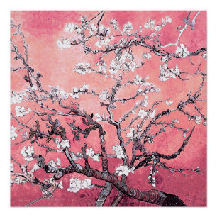 Van Gogh Almond Blossom pfirsich pink Poster