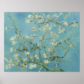 Van Gogh - Almond Blossom Poster