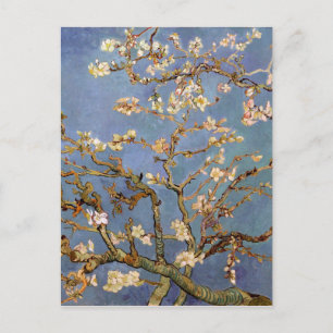 Van Gogh Almond Blossom Postkarte