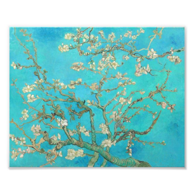 Van Gogh Almond Blossoms Fotodruck (Vorne)