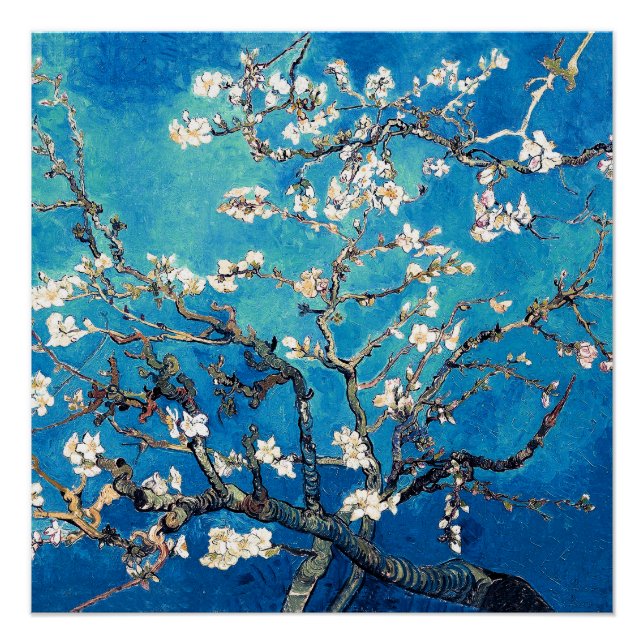 Van Gogh Almond Blossoms leuchtend türkis Poster (Vorderseite)