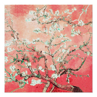Van Gogh Almond Blossoms peach Poster