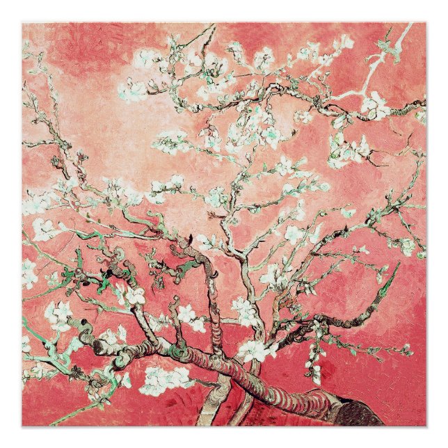 Van Gogh Almond Blossoms peach Poster (Vorderseite)