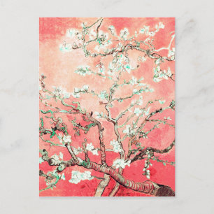 Van Gogh Almond Blossoms Peach Postkarte