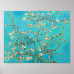Van Gogh Almond Blossoms Poster