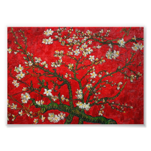 Van Gogh Almond Blossoms Red Fotodruck (Vorne)