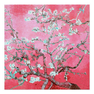Van Gogh Almond Blossoms rosa blau Poster