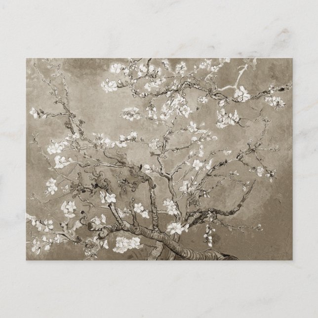 Van Gogh Almond Branches in Bloom - Sepia Postkarte (Vorderseite)