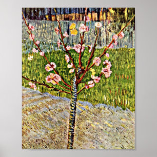 Van Gogh - Almond Tree in Blossom Poster