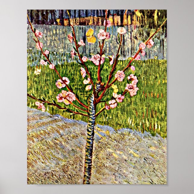 Van Gogh - Almond Tree in Blossom Poster (Vorne)
