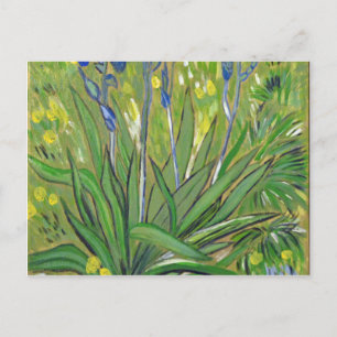 Van Gogh art Irises, Acrylwiedergabe Postkarte