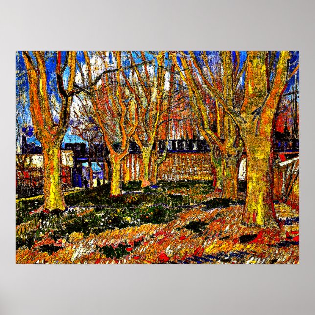 Van Gogh - Avenue of Flugzeug Trees Poster (Vorne)