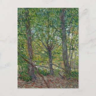 Van Gogh Bäume und Unterholz(F307) Fine Art Postkarte