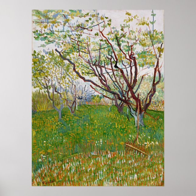 Van Gogh blühende Orchard-Malerei Poster (Vorne)