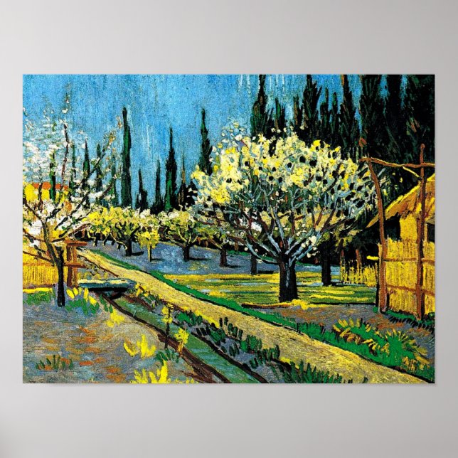 van gogh - Blühender Obstgarten Poster (Vorne)